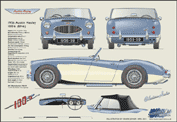 Austin Healey 100/6 1955-56